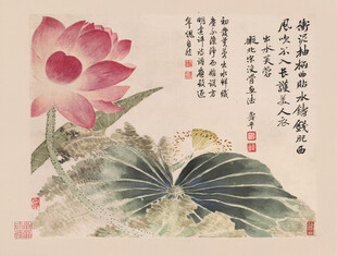 恽寿平水墨荷花图