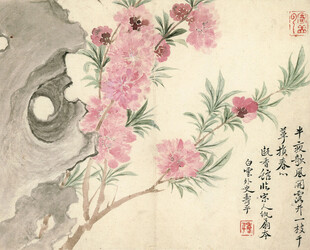 恽寿平水墨桃花图