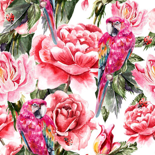 玫瑰与彩鸟的浪漫花卉无缝循环