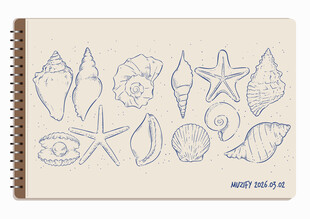 线圈本 12款入贝类手绘稿