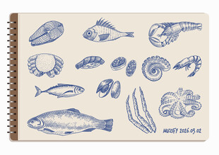 线圈本 13款入海鲜手绘稿