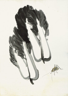 水墨白菜旁的小虫