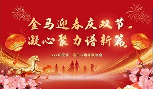 金马迎春联欢活动现场