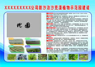 防沙治沙荒漠植物展板