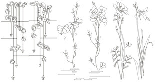 花草鱼鸟线条 矢量线条画