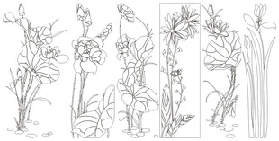 花卉植物线稿手绘素材 矢量线条