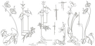 手绘植物花卉线稿图案