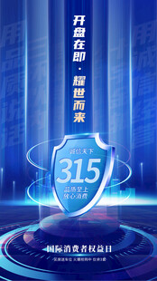 315海报
