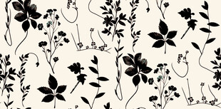黑白花卉植物图案纹理