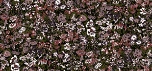 复古花卉图案布料纹理