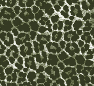 迷彩风格豹纹图案纹理