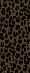 豹纹纹理图案