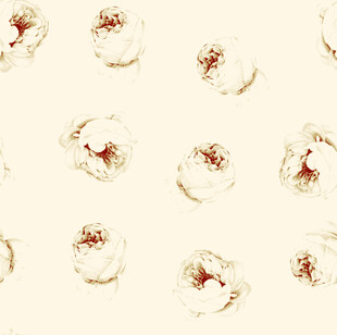 白色花卉图案背景纹理