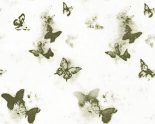 飞舞蝴蝶的梦幻图案