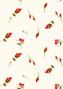 白色背景上的红色花朵图案