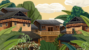 山林中的传统木质民居