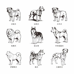 多种犬类简笔画展示