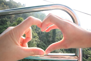 双手比心展现浪漫爱意