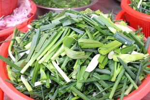 新鲜翠绿的切段韭菜