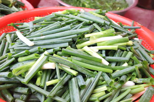 新鲜翠绿的嫩韭菜