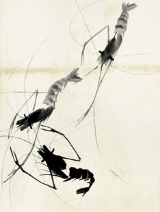 齐白石水墨虾趣图