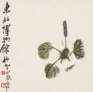 齐白石古画中的植物与昆虫