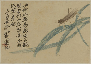 齐白石水墨草虫图