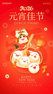 喜庆元宵佳节插画海报