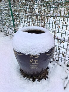 雪覆缸景冬日静谧之美