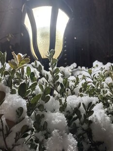 雪夜路灯下的洁白雪景