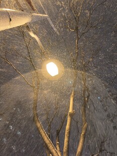 雪夜路灯下的光秃树枝