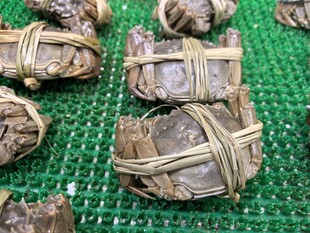 鲜活捆绑大闸蟹