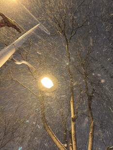 雪夜路灯下的树枝景象