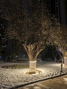 雪夜城中树景