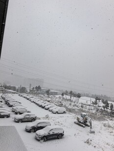 雪后停车场银装素裹