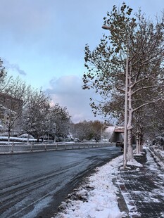 冬日雪后街道景象