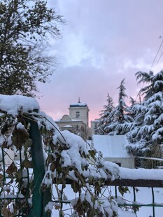冬日雪景中的树木与楼宇