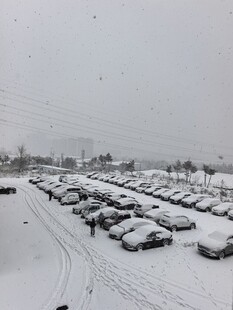 雪后停车场车辆覆满白雪