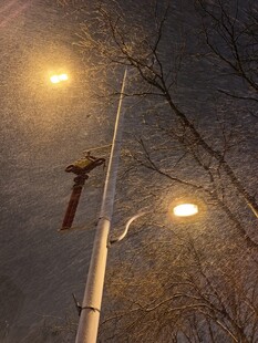夜晚路灯下的静谧景象