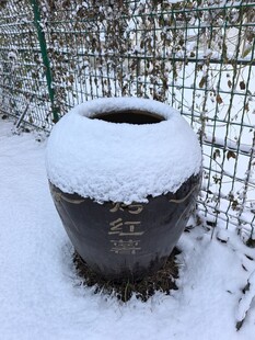雪覆古缸冬日静谧景致