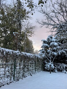 雪后围栏旁的冬日景致