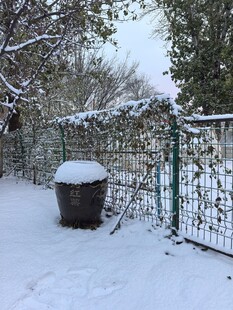 雪覆庭院中的垃圾桶与围栏