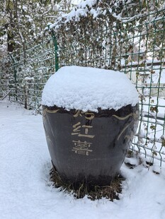 雪覆缸体古朴冬日景致