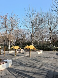 冬日公园空旷休闲场景