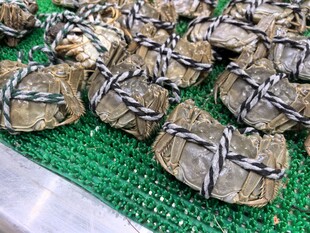 鲜活绑绳大闸蟹待售