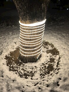 雪夜中发光的树基护栏