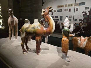 三彩牵驼胡人俑