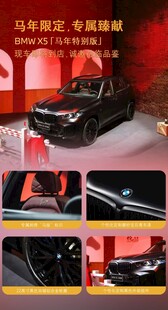 宝马X5马年版宣传海报
