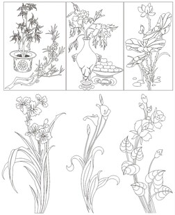 花卉植物线稿插画素材