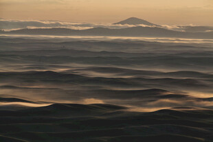 黄昏下起伏的广袤原野